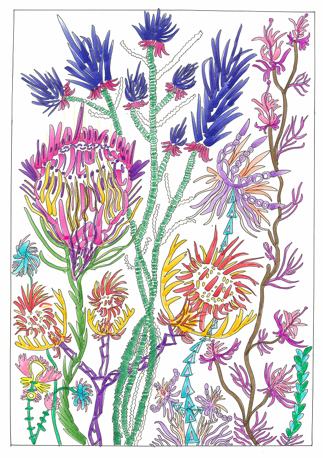 Flora of Tomorrow drawing
